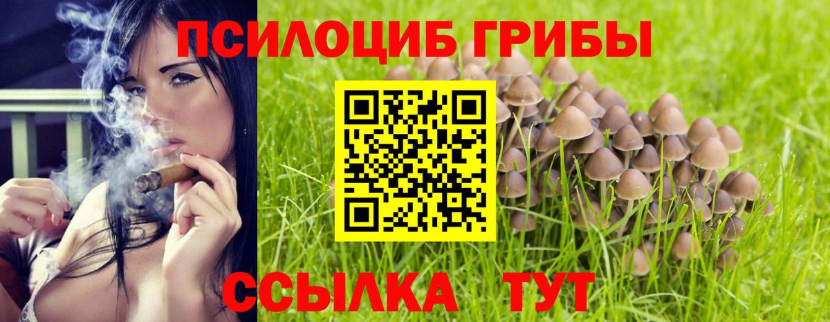 Галлюциногенные грибы мухоморы  Вход с VPN  Сегежа  Псилоцибиновые грибы Magic Shrooms 