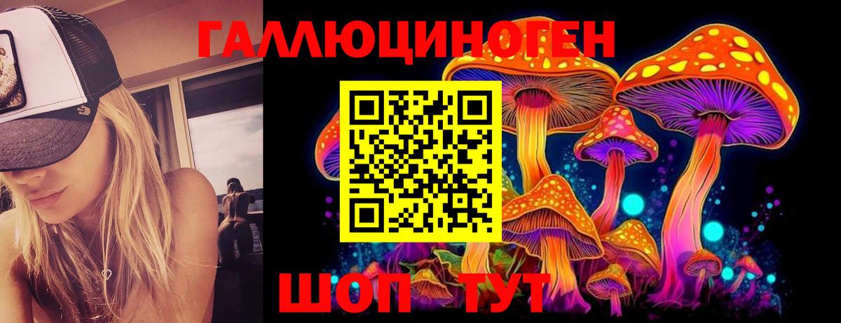Псилоцибиновые грибы Psilocybine cubensis Сегежа